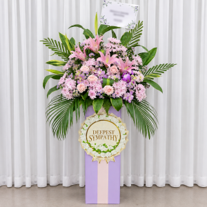 CFS01 - Light of Remembrance