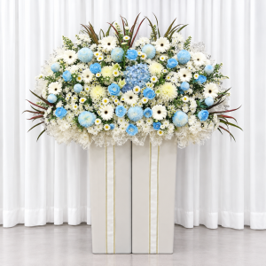 CFS18 - Tranquil Remembrance