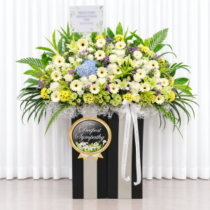 CFS21 - Everlasting Touch