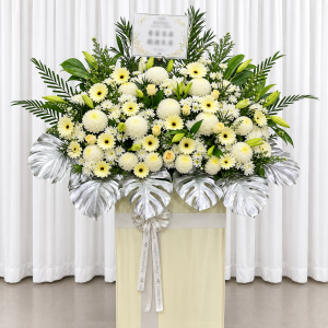 CFS37 - Graceful Tribute