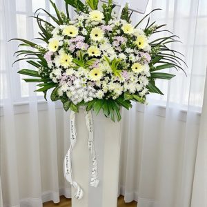 CFS64 - Serenity Stand