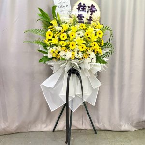 CFS73 - Final Dawn
