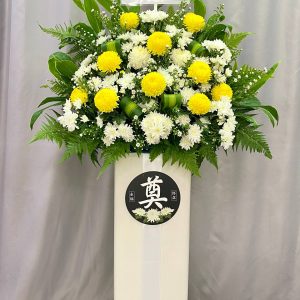 CFS80 - Golden Serenity