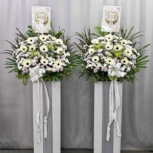 CFS81 - Moonlight Remembrance