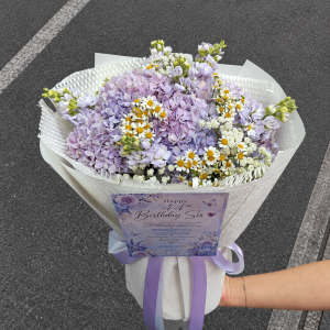 HYD02 - Hydrangea Fields ~ Fresh Flower 鲜花