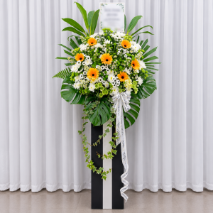 CFS73 - Sunlit Remembrance