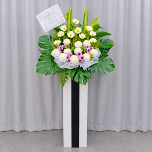 CFS71 - Pure Tribute