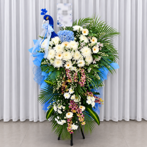 CFS99 - Azure Peacock