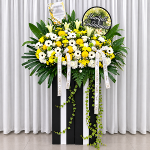 CFS100 -Celestial Tribute